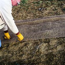  Anti-Wash®/Geojute® 