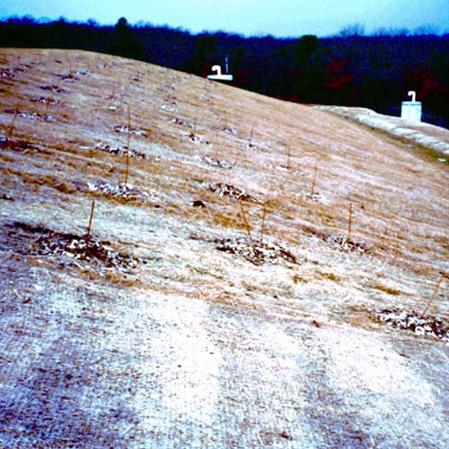  Biodegradable Straw Blanket
