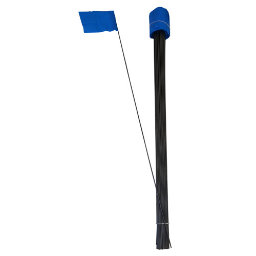 100 - 2 1/2" x 3 1/2" Blue Flags