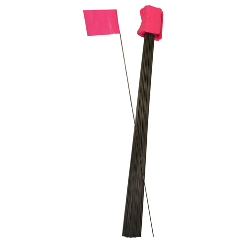 100 - 2 1/2" x 3 1/2" Fl. Pink Flags