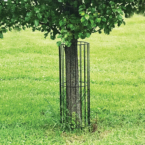Tree Guard in Black